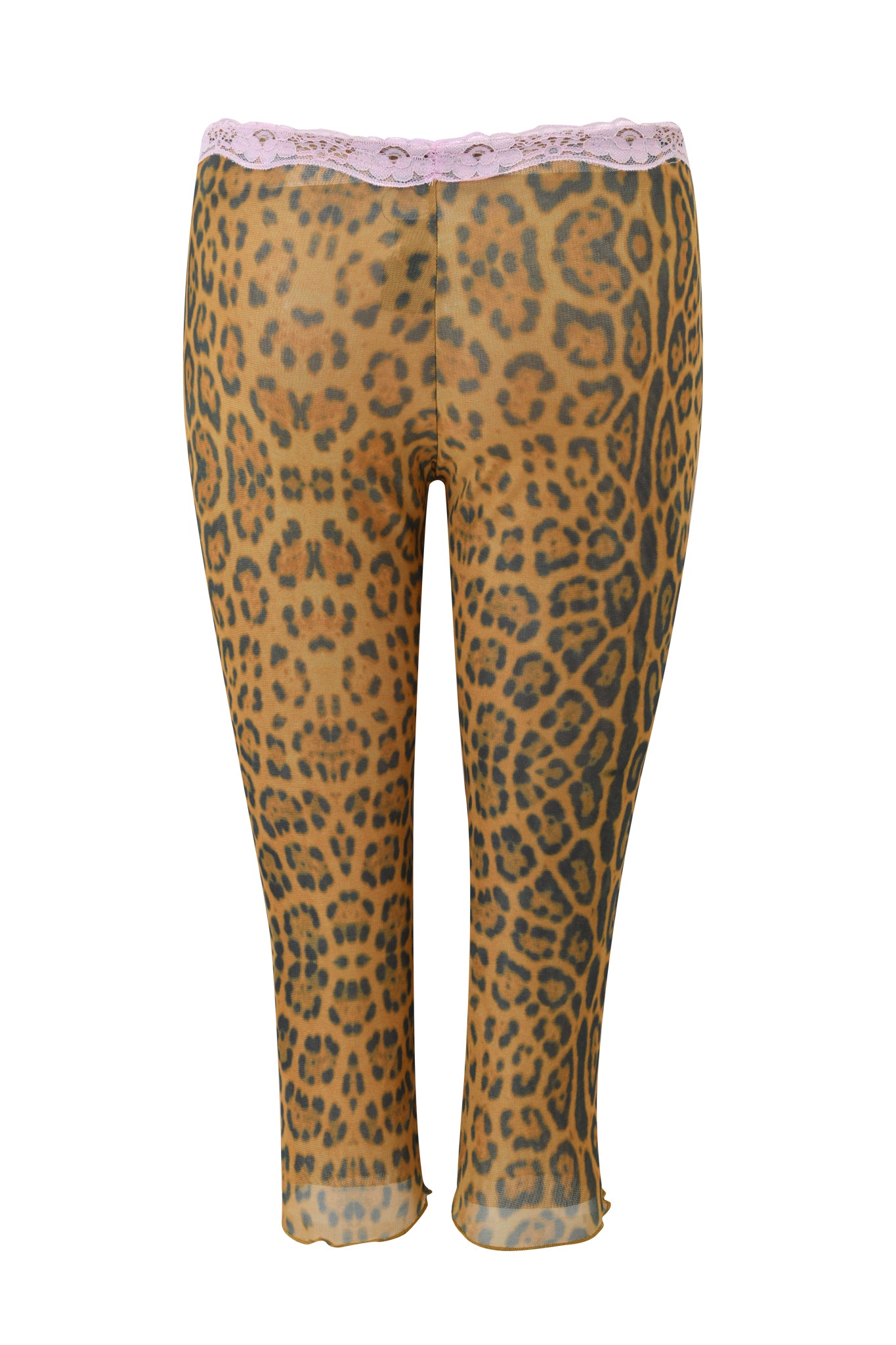 GIA18449-PANTHERA-TASHI_TOP-BACK_APPROVED_2