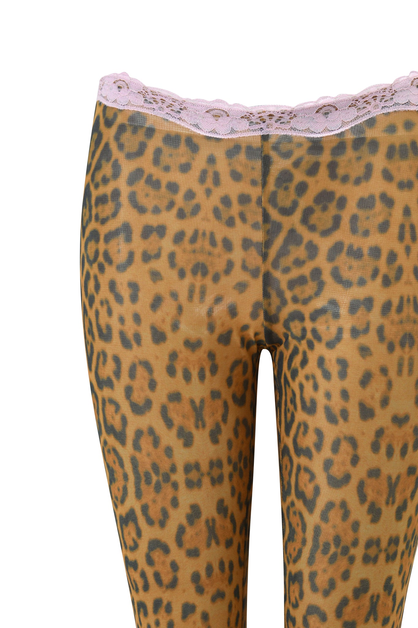 GIA18449-PANTHERA-TASHI_TOP-DETAIL_APPROVED_2