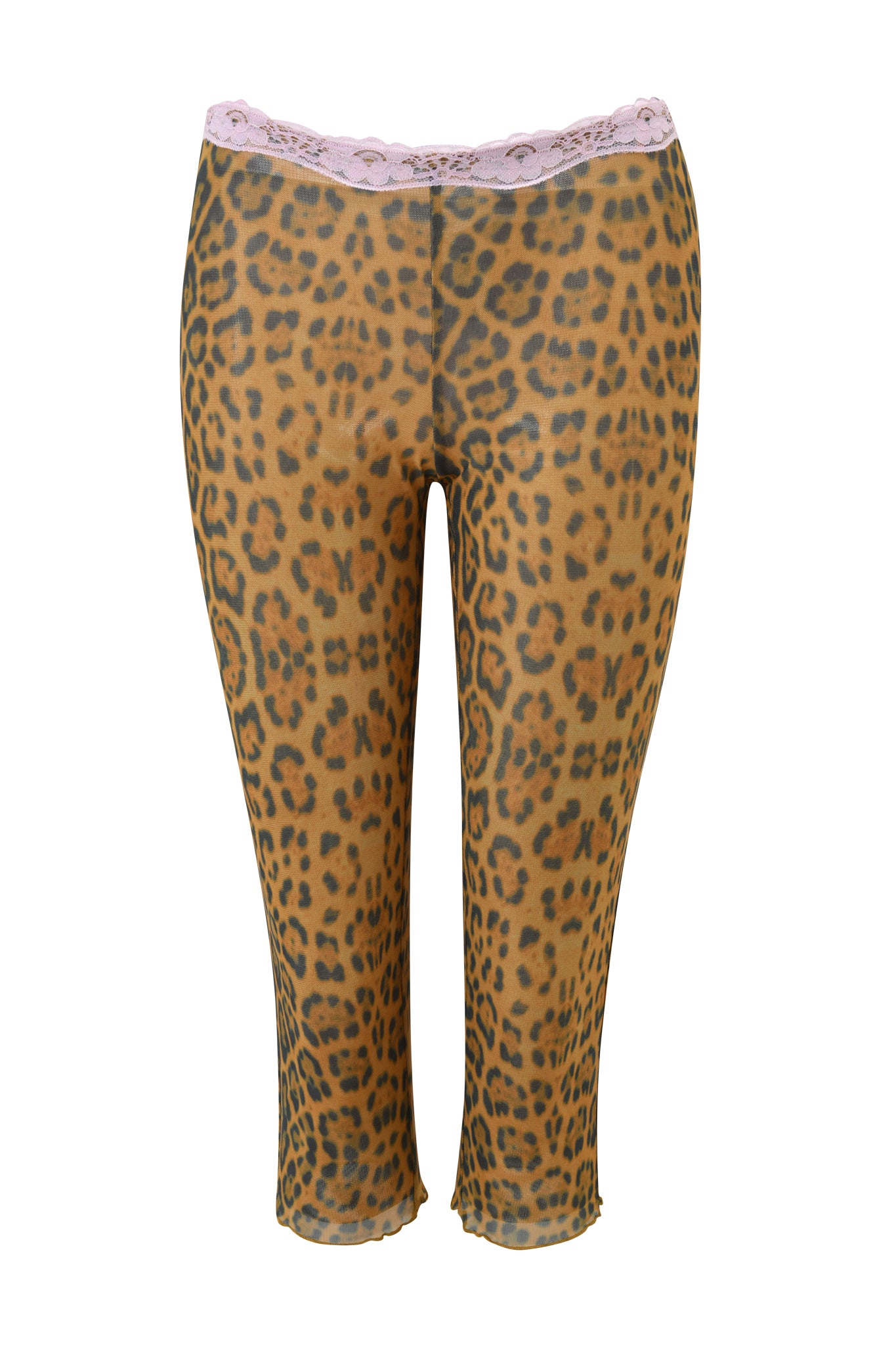 GIA18449-PANTHERA-TASHI_TOP-FRONT_APPROVED_2