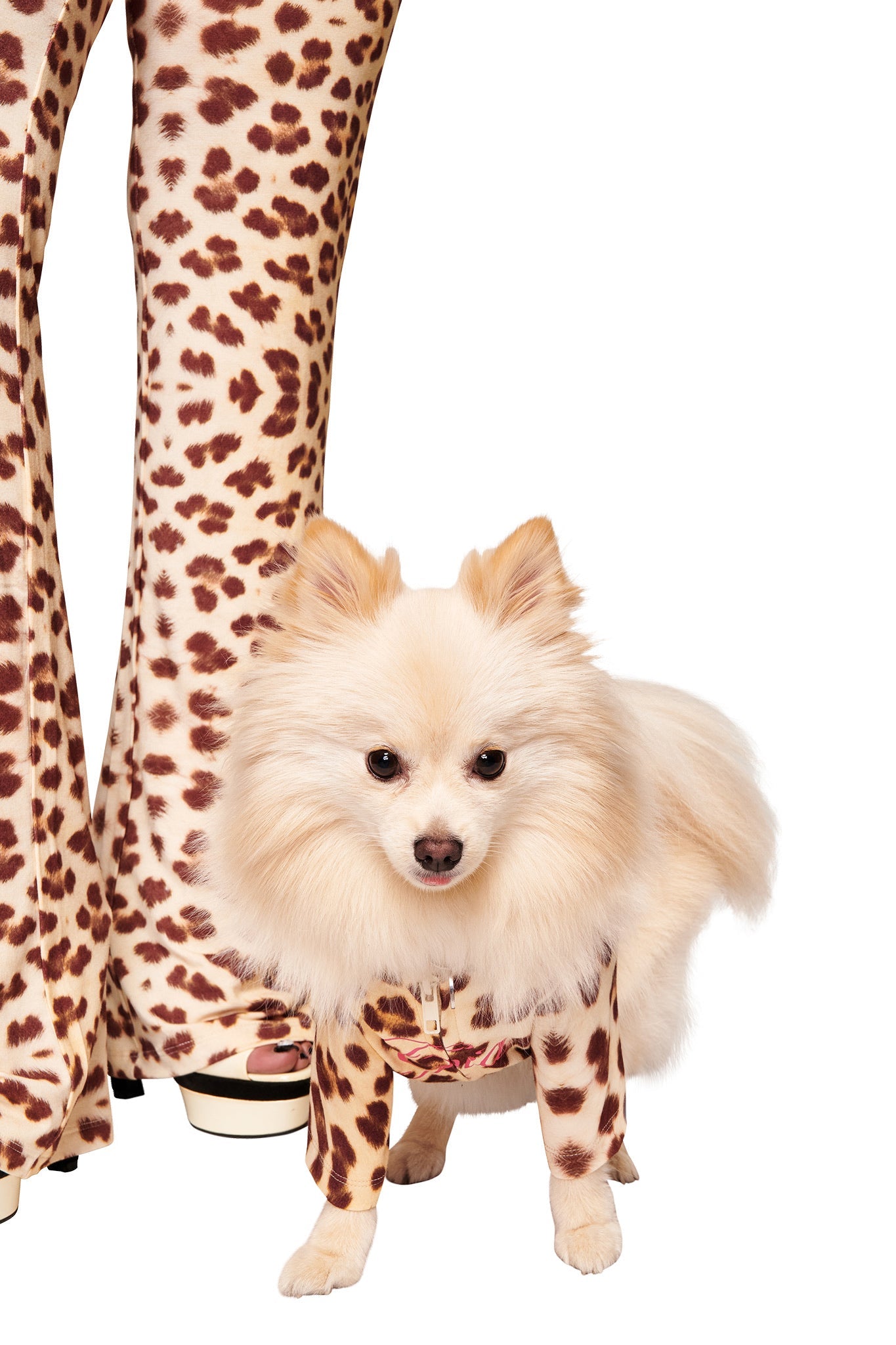 GIA18497-BLARE-BEST-FRIEND-HOODIE-LEOPARD-02