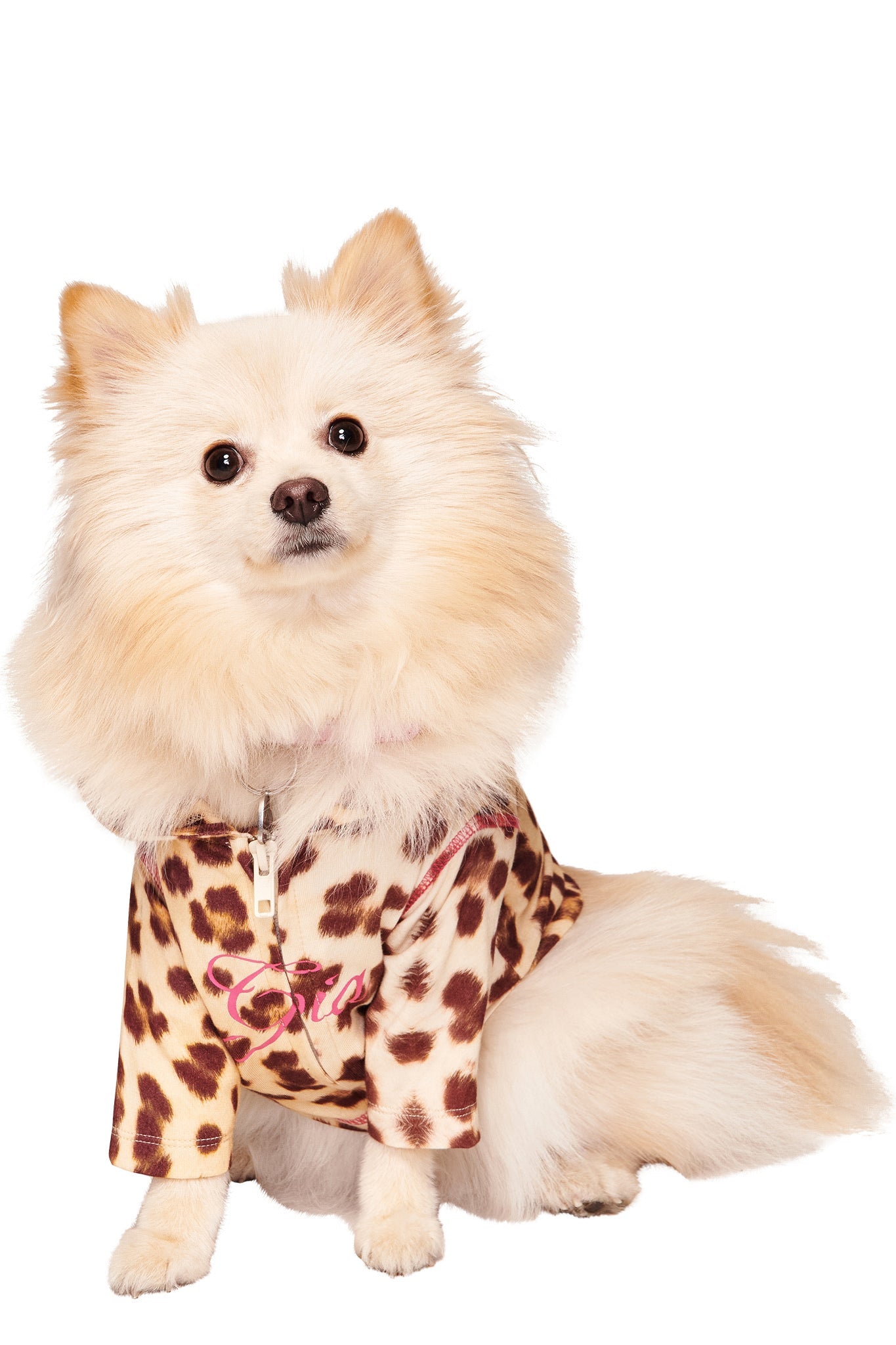 GIA18497-BLARE-BEST-FRIEND-HOODIE-LEOPARD-07