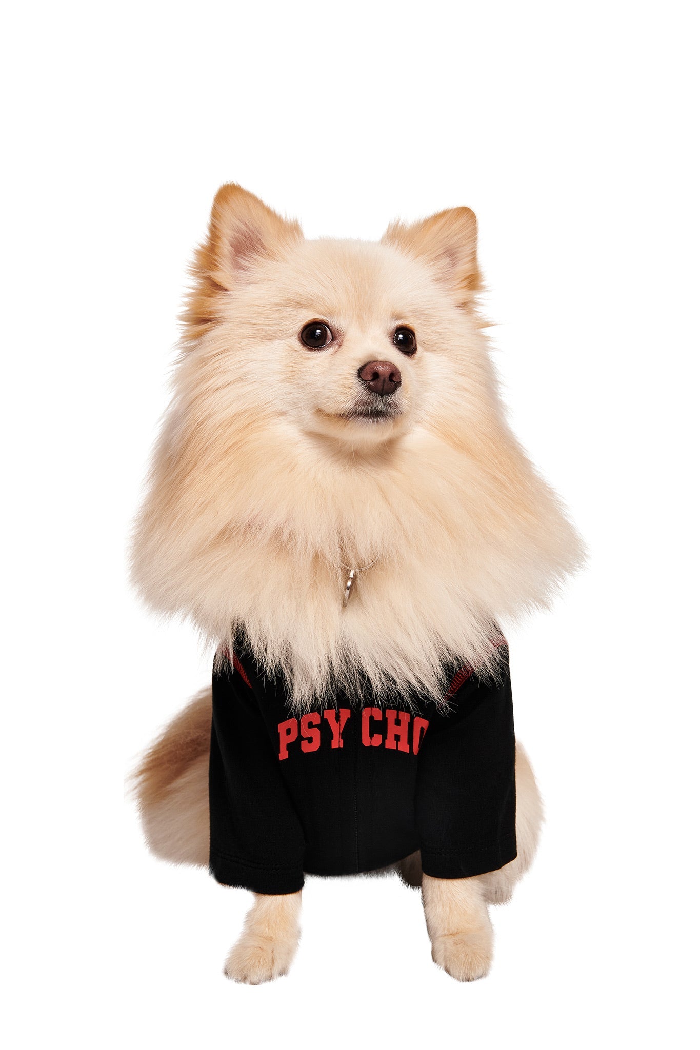 GIA18497-BLARE-BEST-FRIEND-HOODIE-PSYCHO-BLACK-05