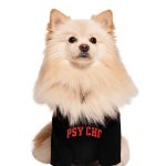 Iamgia BLARE BEST FRIEND DOG HOODIE - BLACK PSYCHO
