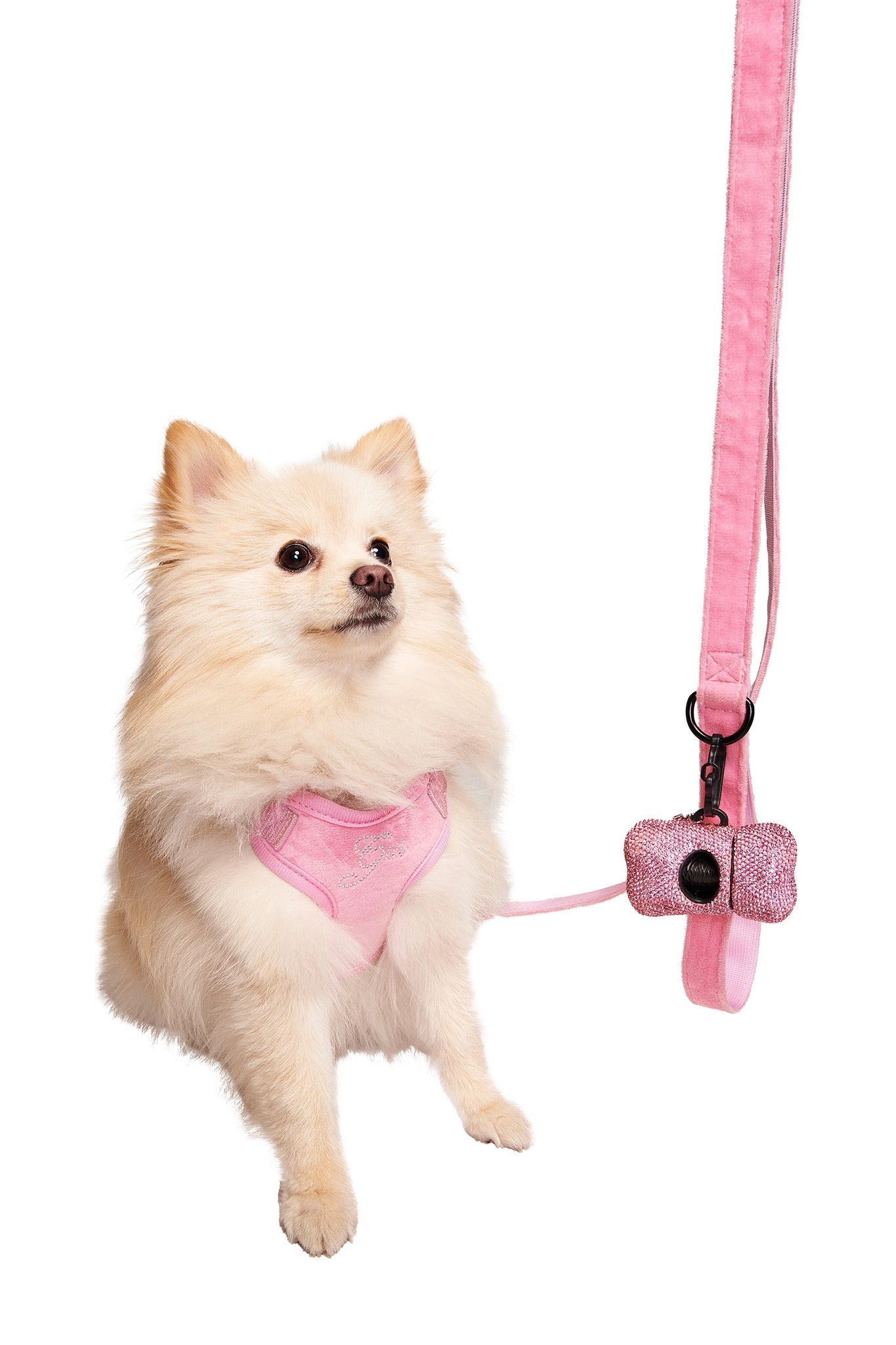 GIACC18861-STAR-PAWFECT-3-PC-SET-PINK-04