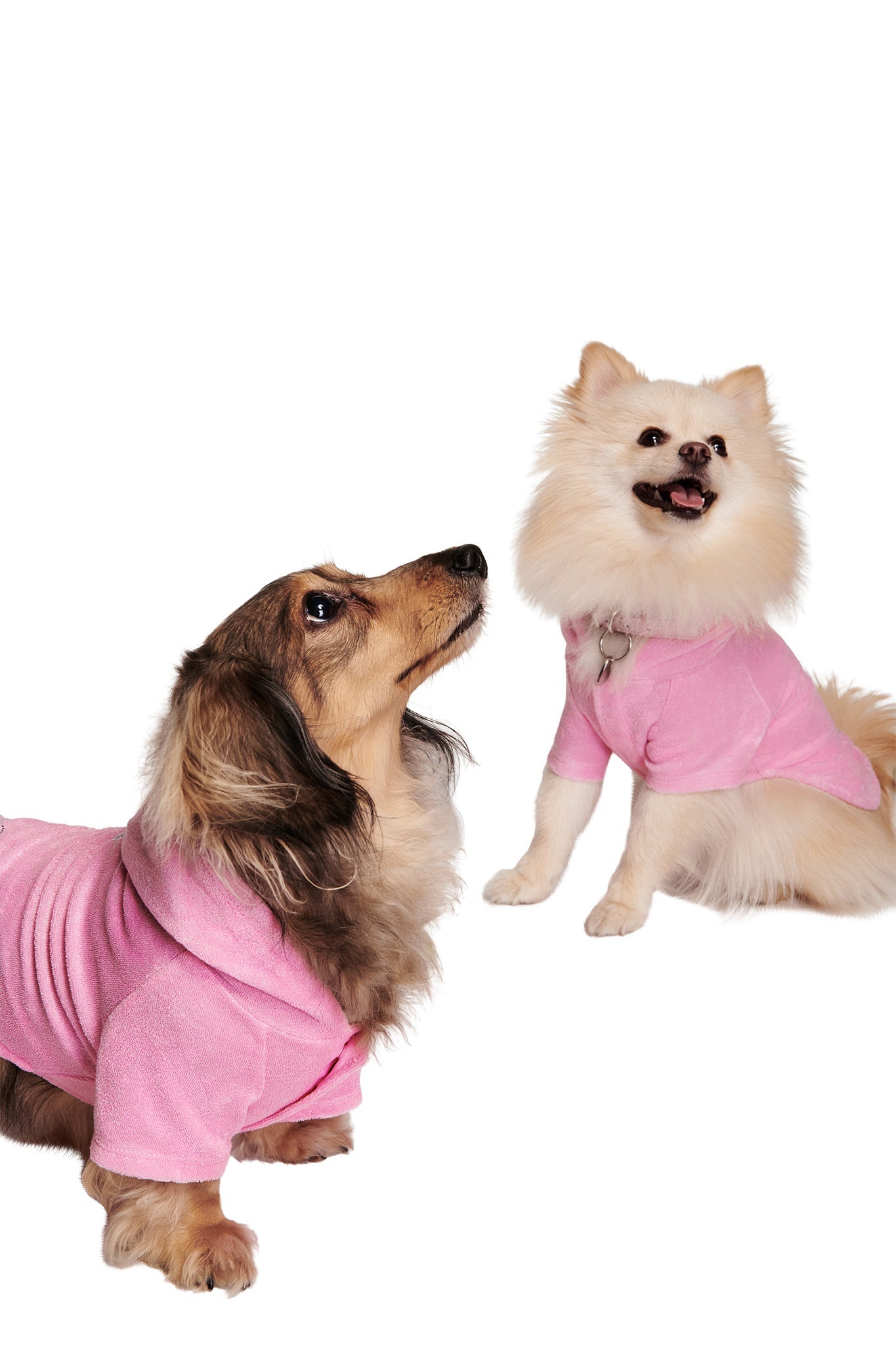 GIACC18874-HONEY-DOG-ONESIE-PINK-05_ba425eb7-1c41-41e5-8a4e-ab6eedb40b31